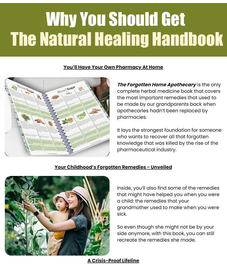 The Natural Healing Handbook ：Spiral-Bound Guide for Herbal Remedies ...