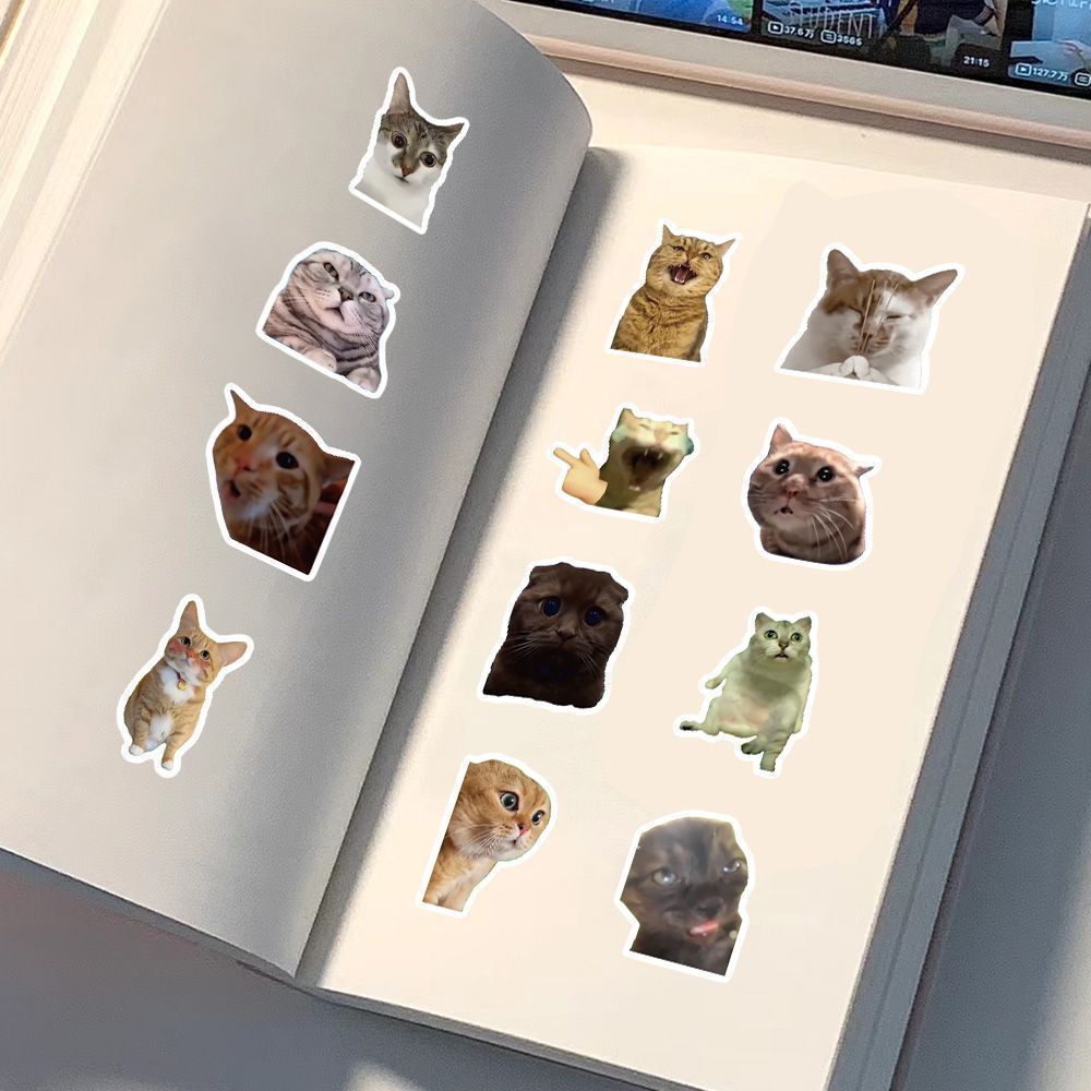 100pcs Cat Meme Sticker Pack – Cute & Funny Cat Emoji Stickers for ...