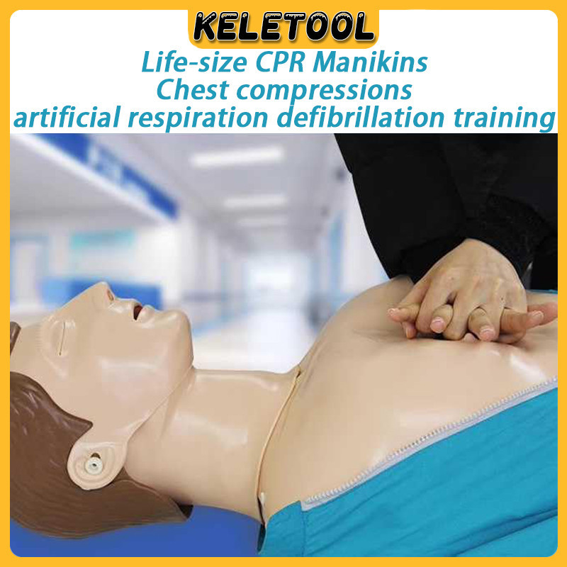 Half Body First AID Dummy CPR Adult Cardiopulmonary Resuscitation ...