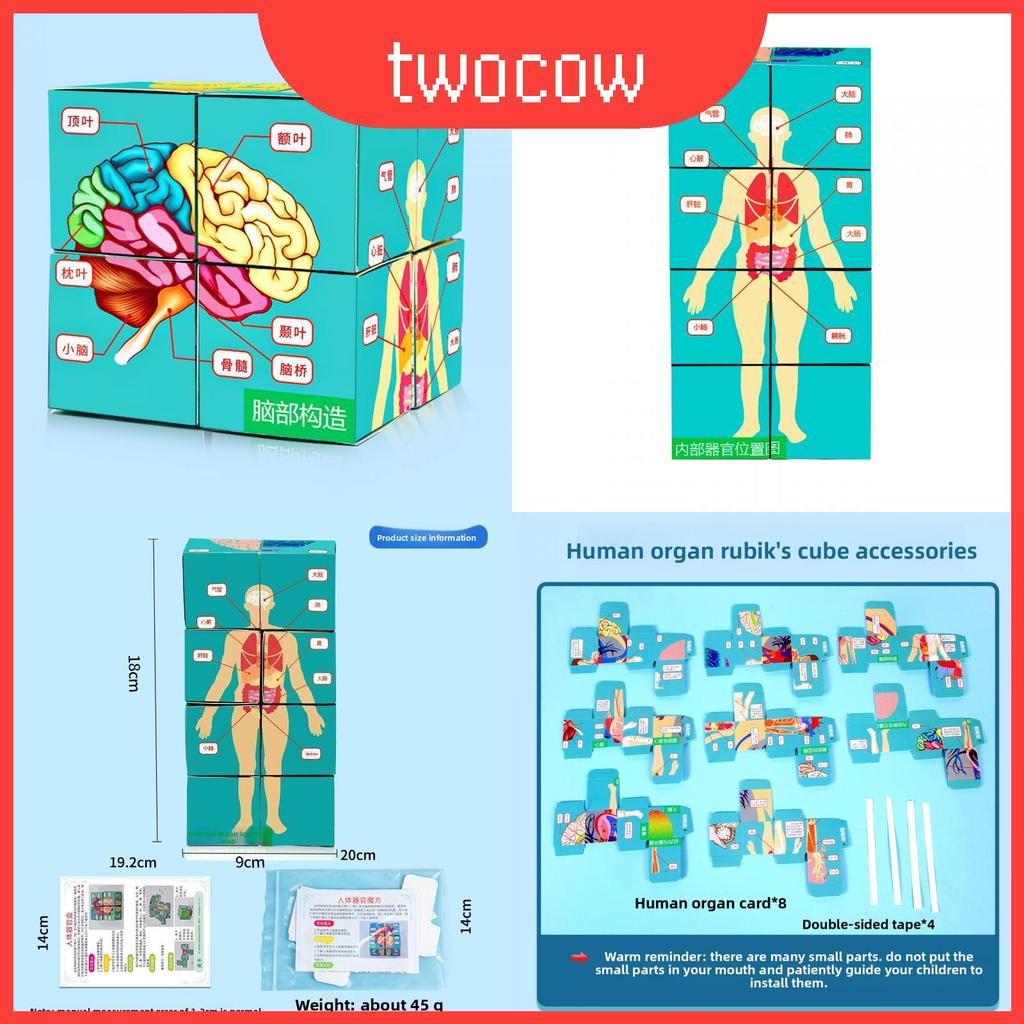 Kids Science Experiment Human Organ Cube Diy Kit For Classroom Learning ...