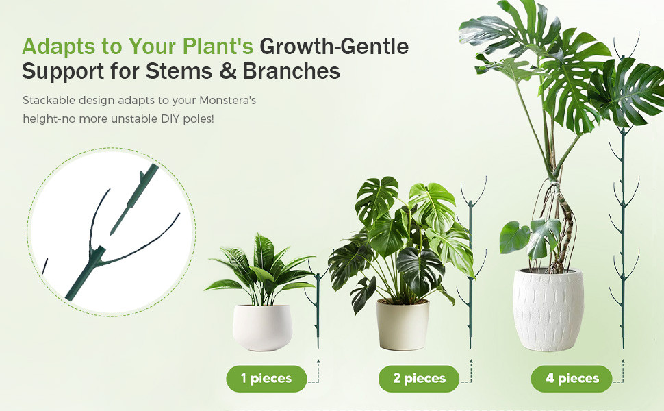 Stackable Monstera Plant Support Adjustable Plastic Garden Stakes ...