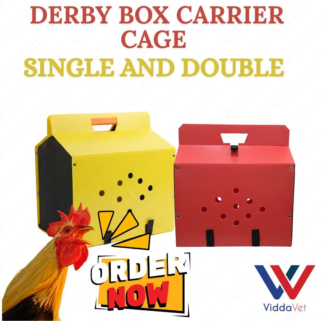 Portable Derby Box Single or Double Compartment Lightweight with Secure ...
