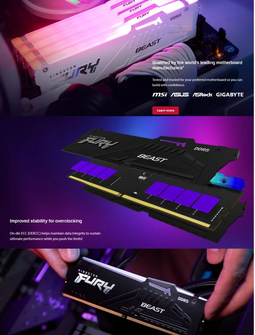 Kingston FURY Beast RGB EXPO DDR5 8GB 16GB 32GB 64GB 6000MHz CL36 Black ...