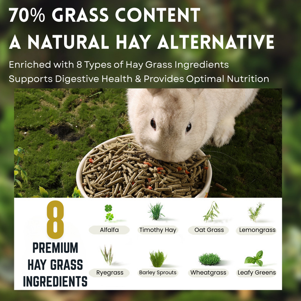 Bucastate Rabbit Food 2.5kg Hay Based Formula with Probiotics Added ...