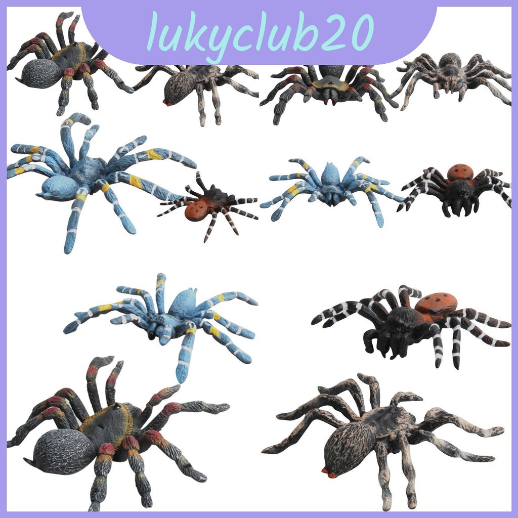 Wild Insect Realistic Model Pack With Static Spiders For Educational ...