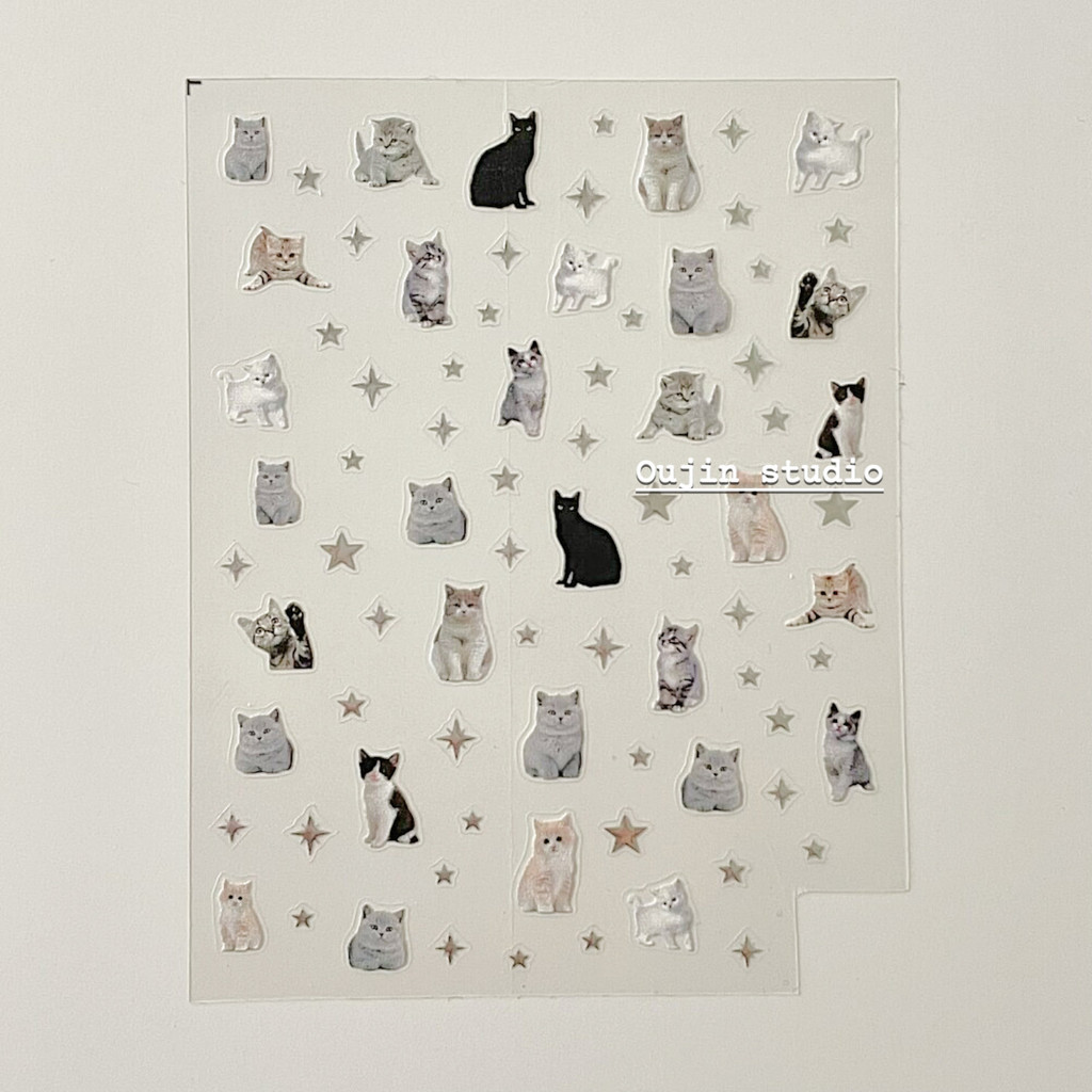 Korean Style ins Style Niche Design Simple Cute Cartoon Funny Cat 17/16 ...