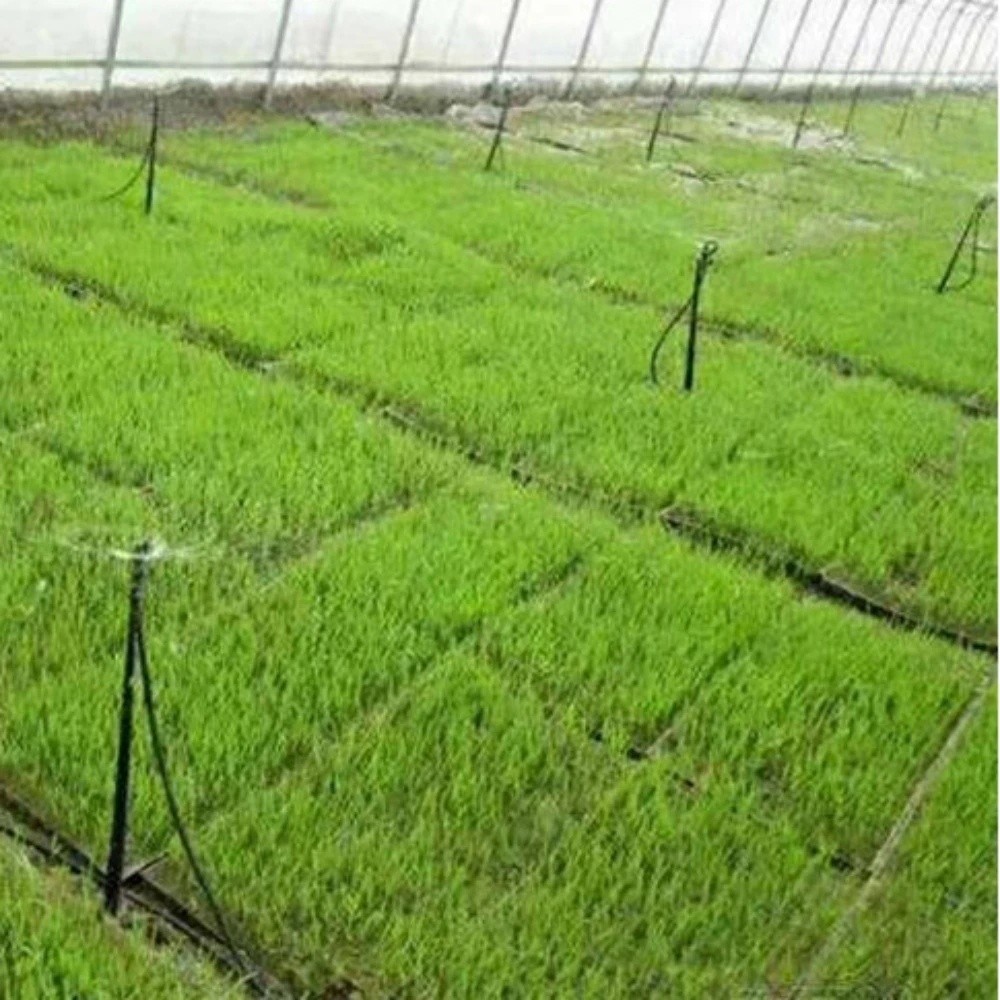 Ground-Mounted Micro-Sprinkler Irrigation System 35L/H 55L/H 100L/H ...