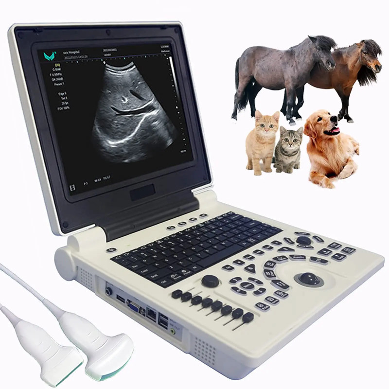 Ultrasound Scanner Veterinary Machine Laptop 12 Inch Portable Black ...