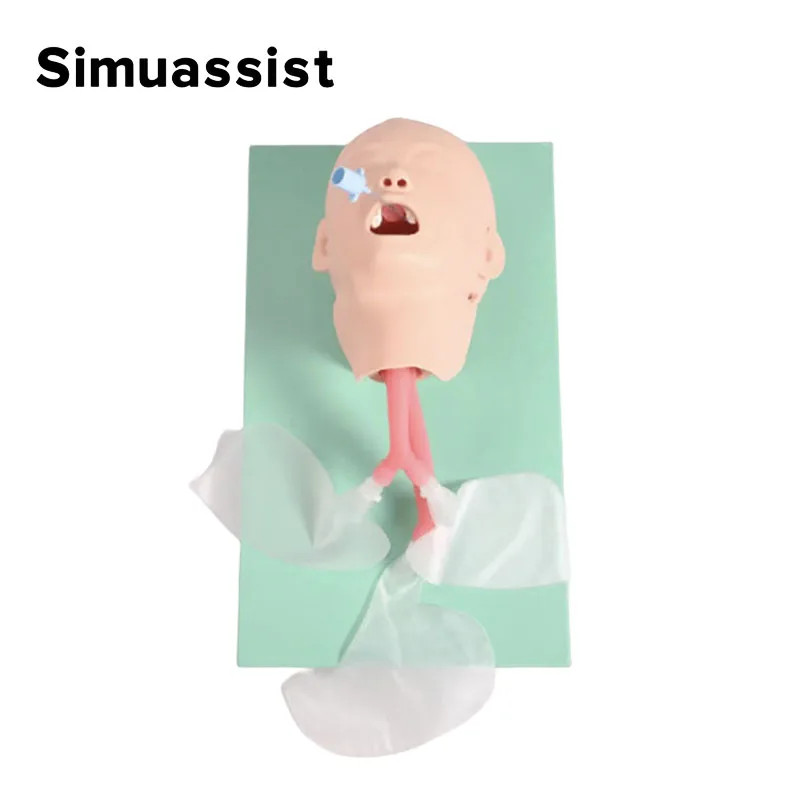 Child Trachea Intubation Training Model,Child Airway Intubation Manikin ...