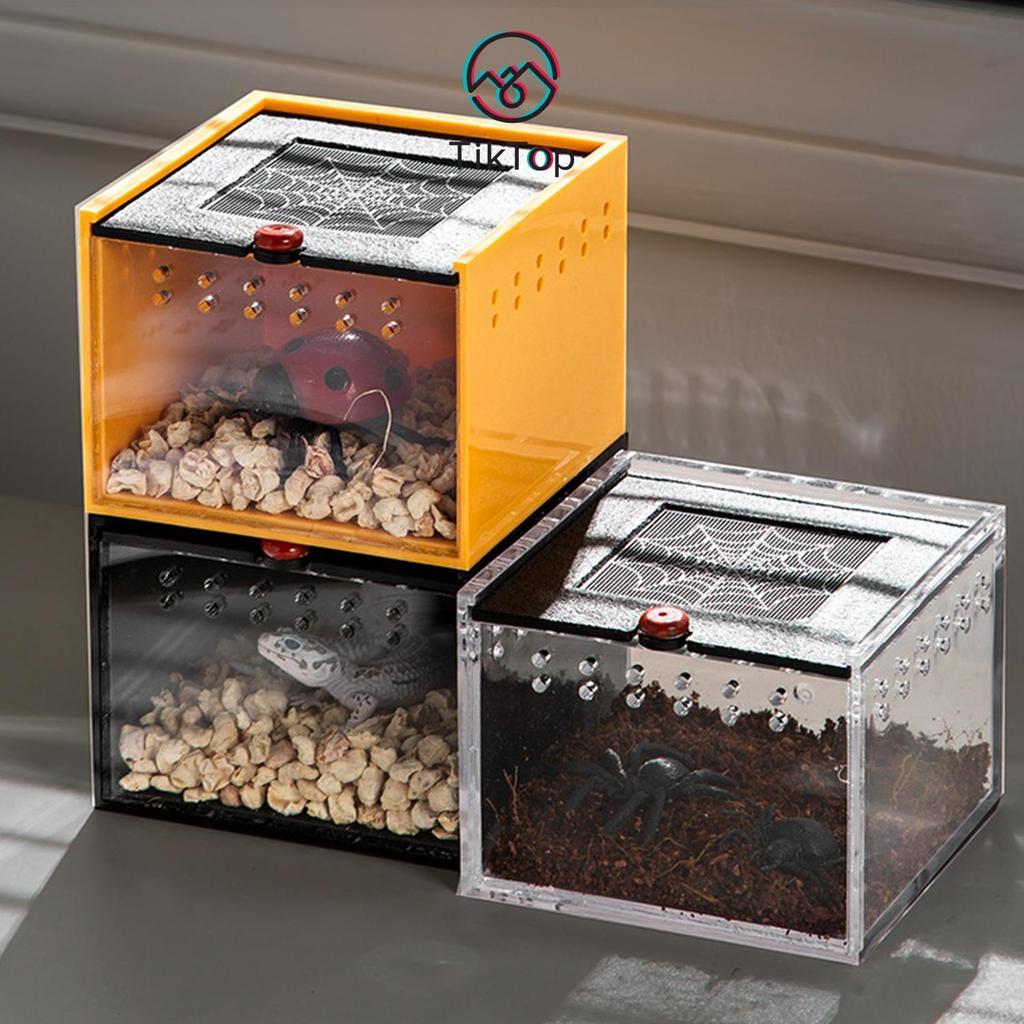Tiktop Pet Insect Feeding Box Climbing Pet Spider Scorpion Beetle ...
