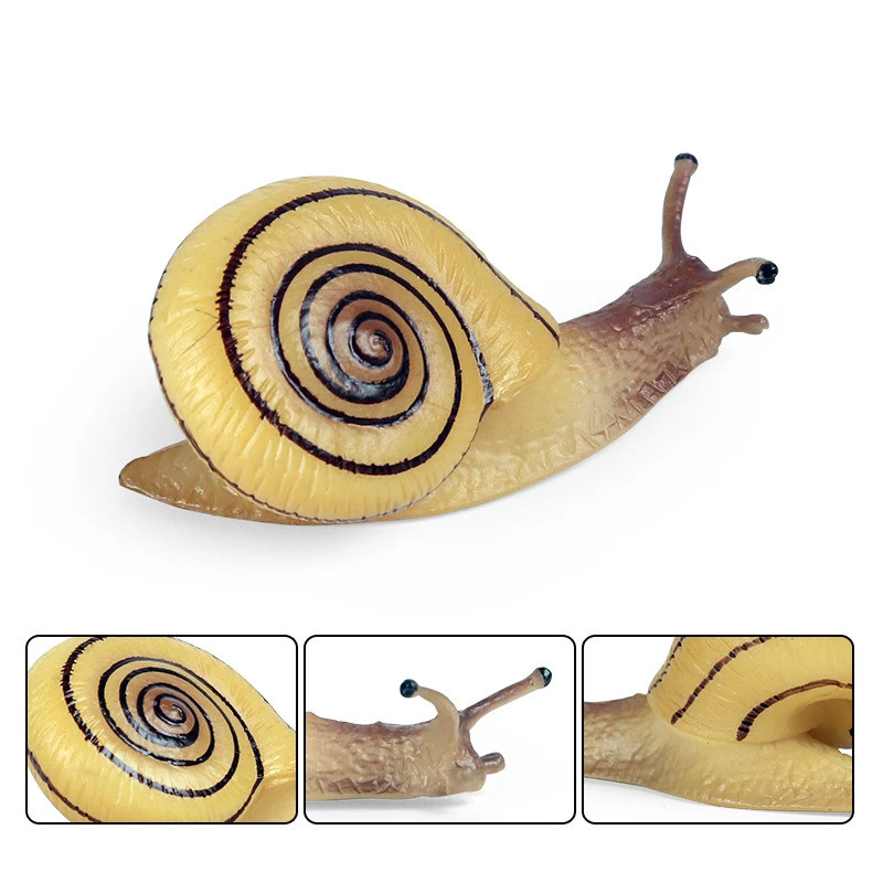 Wild Animals Snails Growth Cycle Model Action Figure Figurines PVC ...