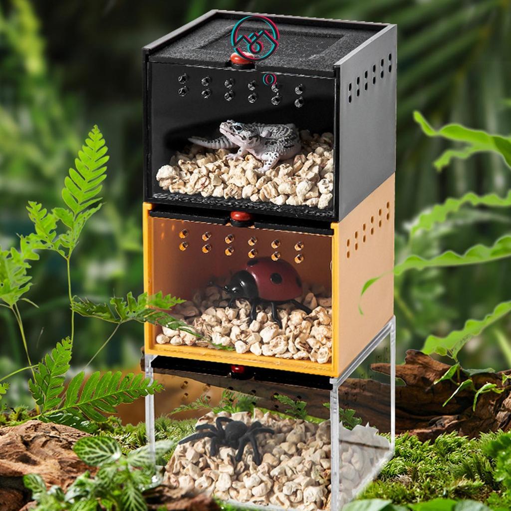 Tiktop Pet Insect Feeding Box Climbing Pet Spider Scorpion Beetle ...