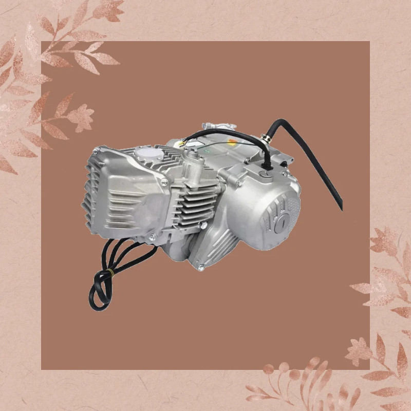 Zongshen 190cc Zs212Cc Engine Electric Start With Complete Engine Kit ...