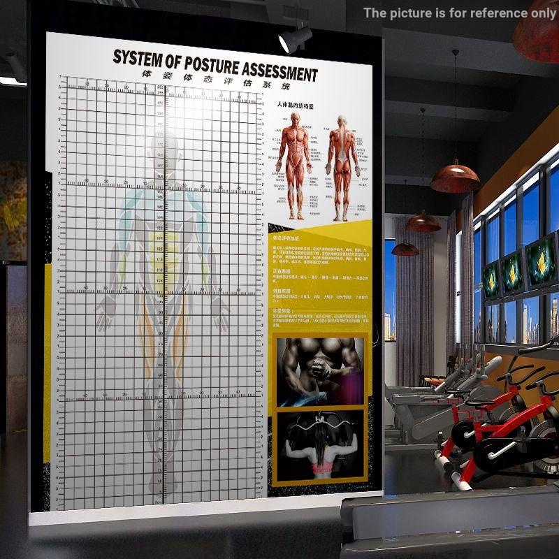 [Posture Assessment Chart] Posture Sheet Fitness Correction Yoga ...