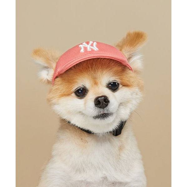 PET Rookie Ball Cap NY (CORAL) Shopee Malaysia