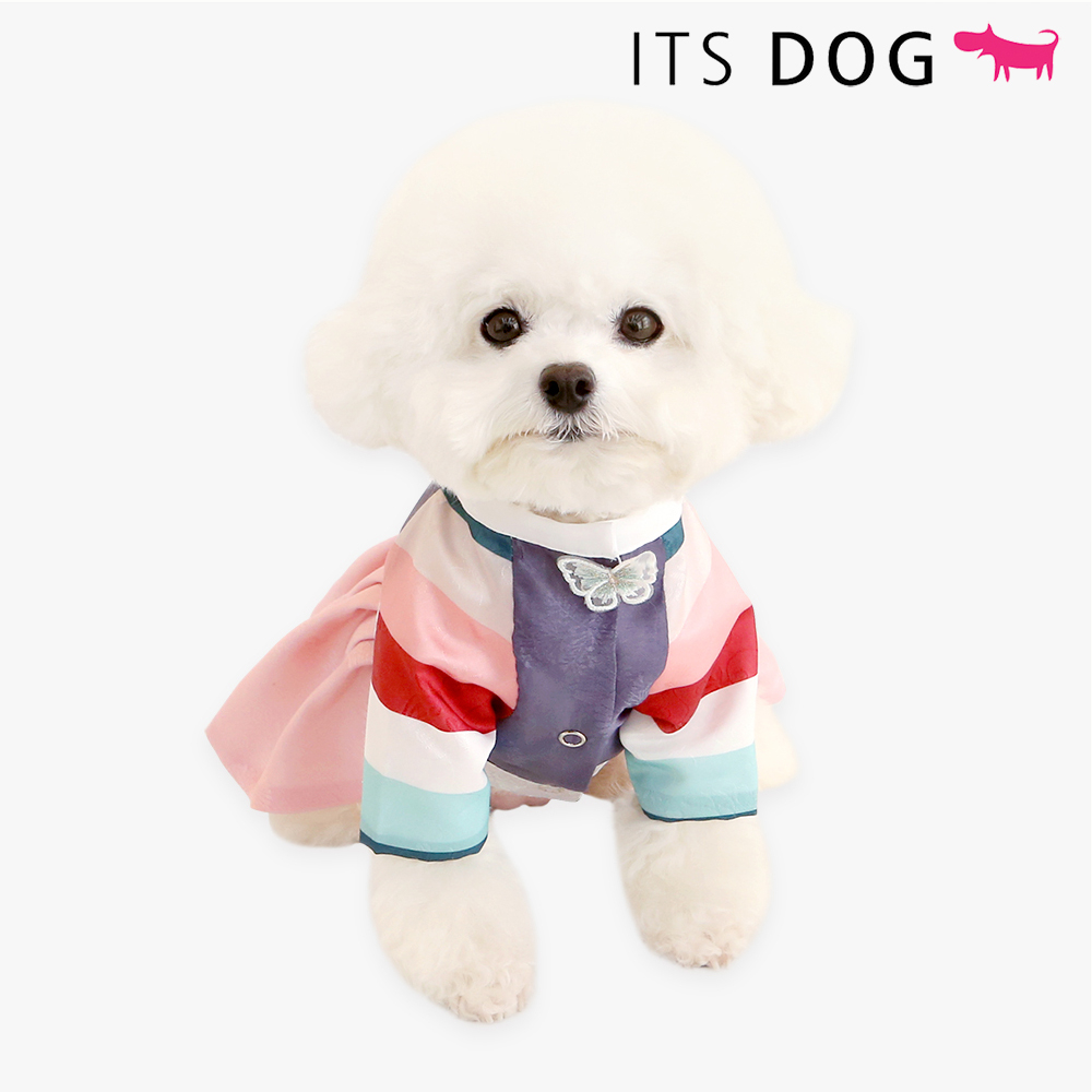 [DOG CLOTHES MADE IN KOREA] ITSDOG AY Princess Hanbok Set (Korean