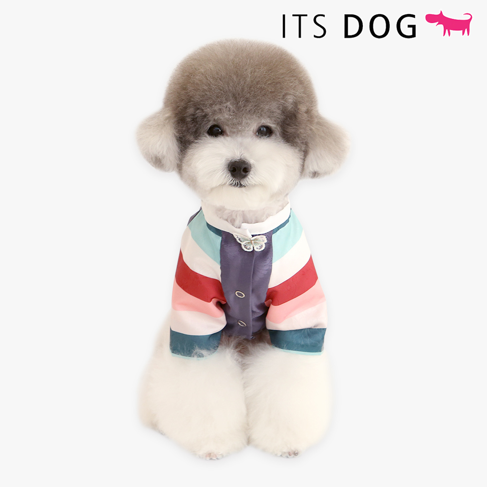 [DOG CLOTHES MADE IN KOREA] ITSDOG DY Prince Hanbok Set (Korean