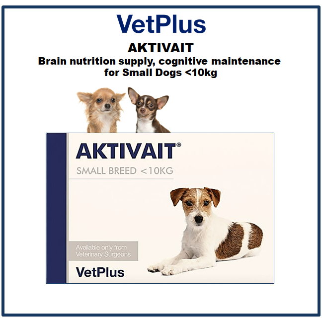 VetPlus AKTIVAIT Brain nutrition supply cognitive maintenance for Small Dogs 60capsules Shopee Malaysia