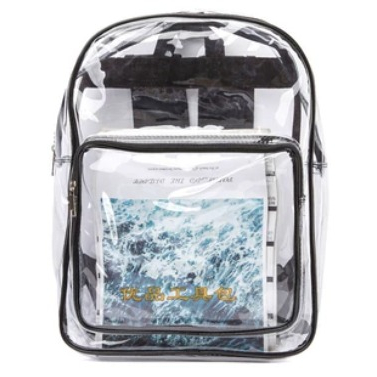 Clear ESD Cleanroom Backpack 17