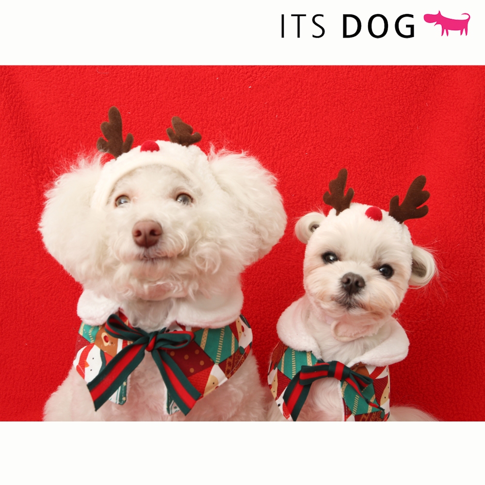 [DOG CLOTHES MADE IN KOREA] ITSDOG Christmas hat and cape set (dog's