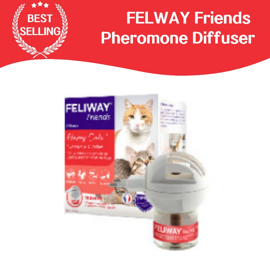FELIWAY Friends Starter Kit Cat Multiple Combination Pheromone Diffuser ... - Feliway Products For Cat Separation Anxiety
