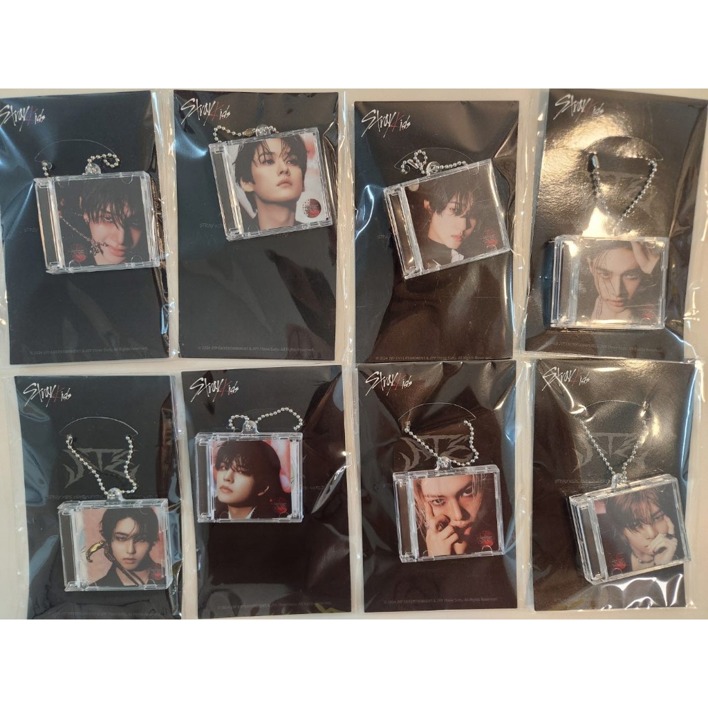 ON HAND) STRAY KIDS ATE POP UP STORE OFFICIAL MINI CD KEYRING | Shopee ...