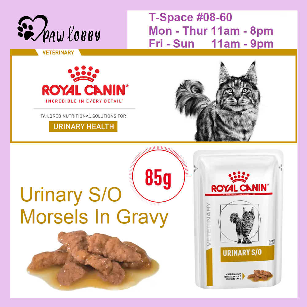 Picture of Royal Canin Feline Urinary S/O Adult Cat Wet Food UTI Complete Feed 85g ...