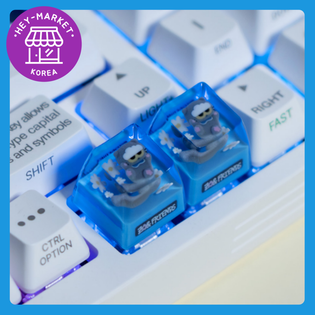 [ZO&FRIENDS] ZOA A&NE Resin Keycap /artisan keycap / custom keycap / zo ...