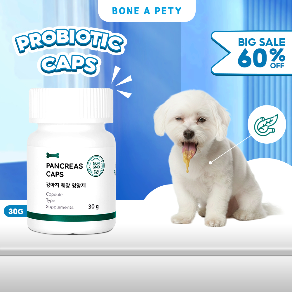 Image showcasing BONEAPETY KOREA Dog Pancreas Support Supplement Pancreas Caps 60 ...