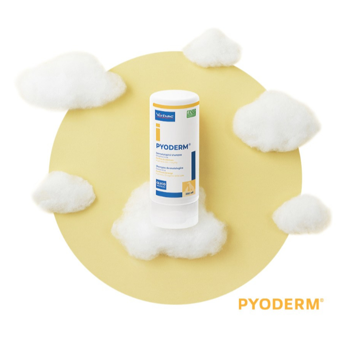 Virbac Pyoderm Glyco Medicated Shampoo 250ml ｜ Bacterial & Fungal Skin ...