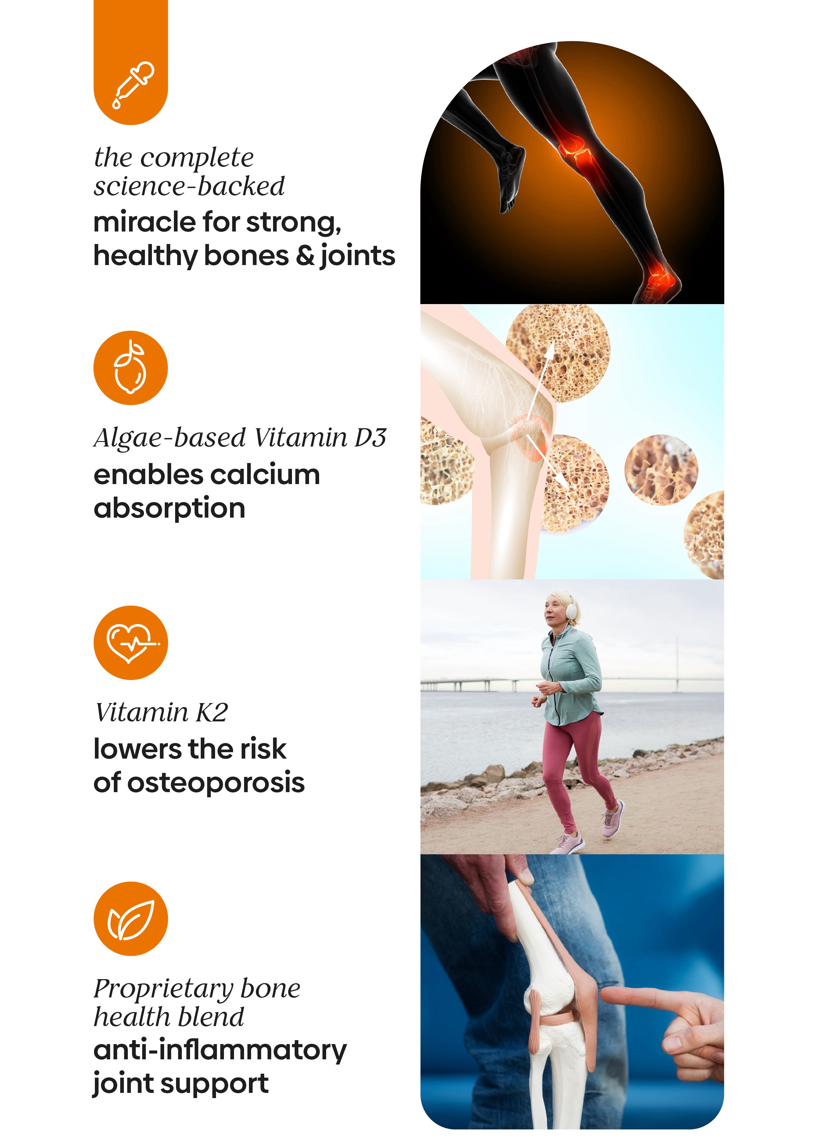 Purest Co Daily Bone+ Drops - Bone & Joint Health | Shopee Malaysia