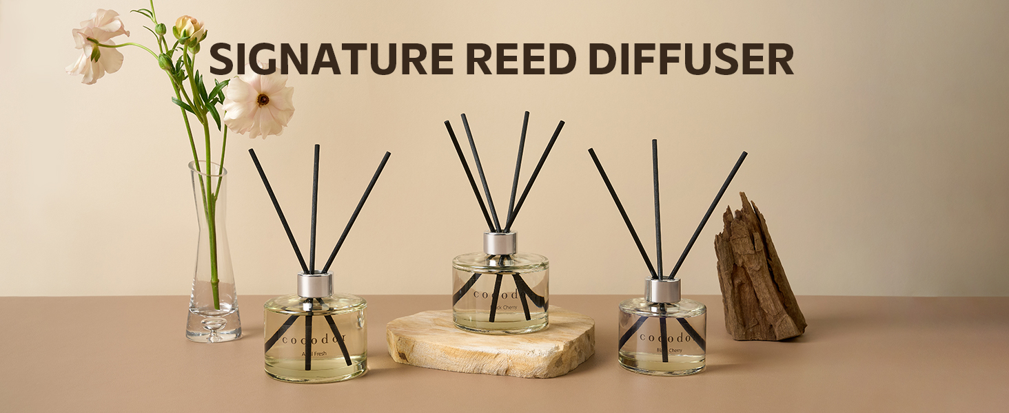 COCODOR Signature Reed Diffuser Set /200ml / 1 Pack / Home Fragrance ...
