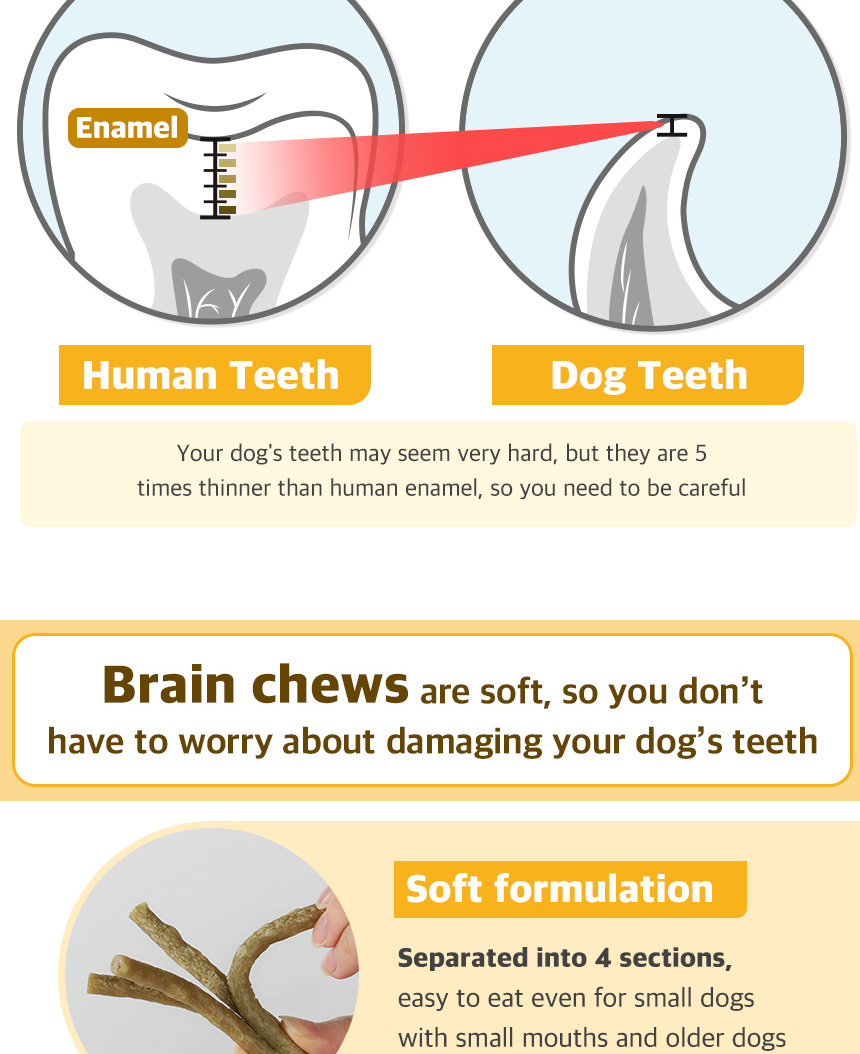 [Doctor By BRAIN CHEW] Cognitive and Brain Aging Notress Dental Chew ...