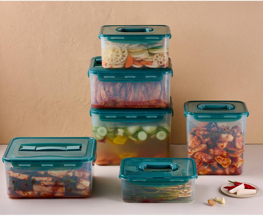 LocknLock NEW Fresh 5L Rectangle One-Handle Kimchi Food Storage ...