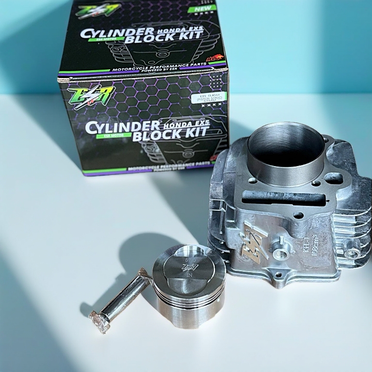 BLOCK ESR FOR EX5 DREAM DAN EX5 CLASS 1 | Shopee Malaysia