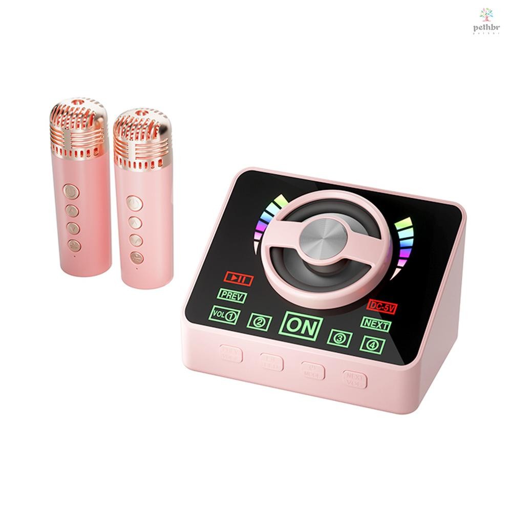 [PETH] Karaoke Machine Mini Wireless Microphone and Speaker KTV Set ...