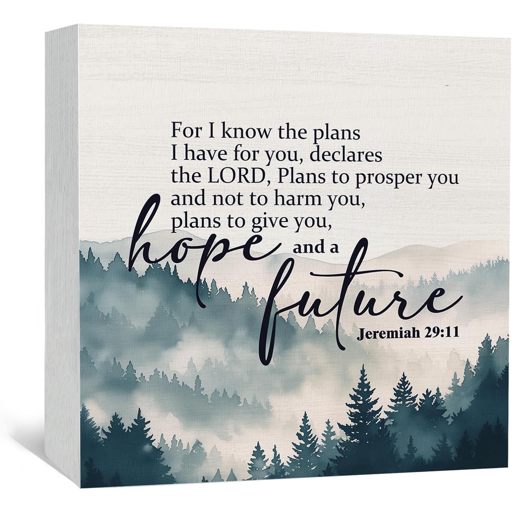 Christian Jeremiah 29 11 Sign 'For I Know the Plans I Have for You ...