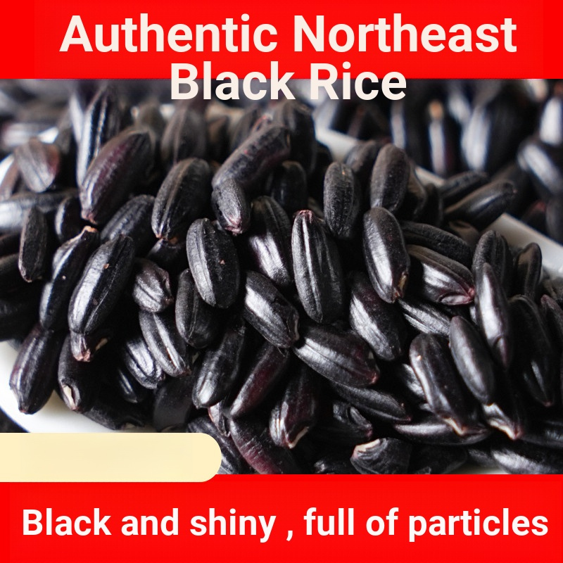 Authentic Northeast Black Rice 2024 New Rice Farm Black Fragrant Rice ...