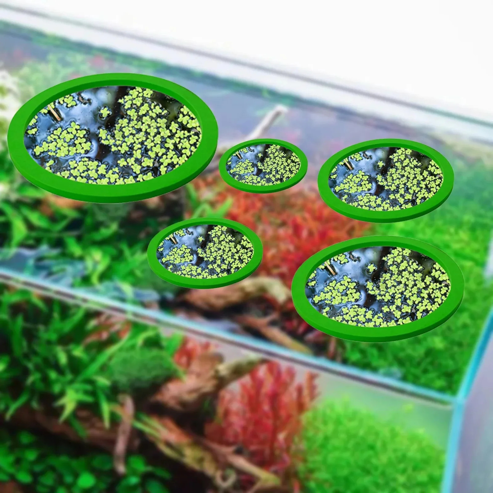 AquaMate 5Pcs EVA Fish Feeding Ring Floating Plant Corral Aquarium Pond ...
