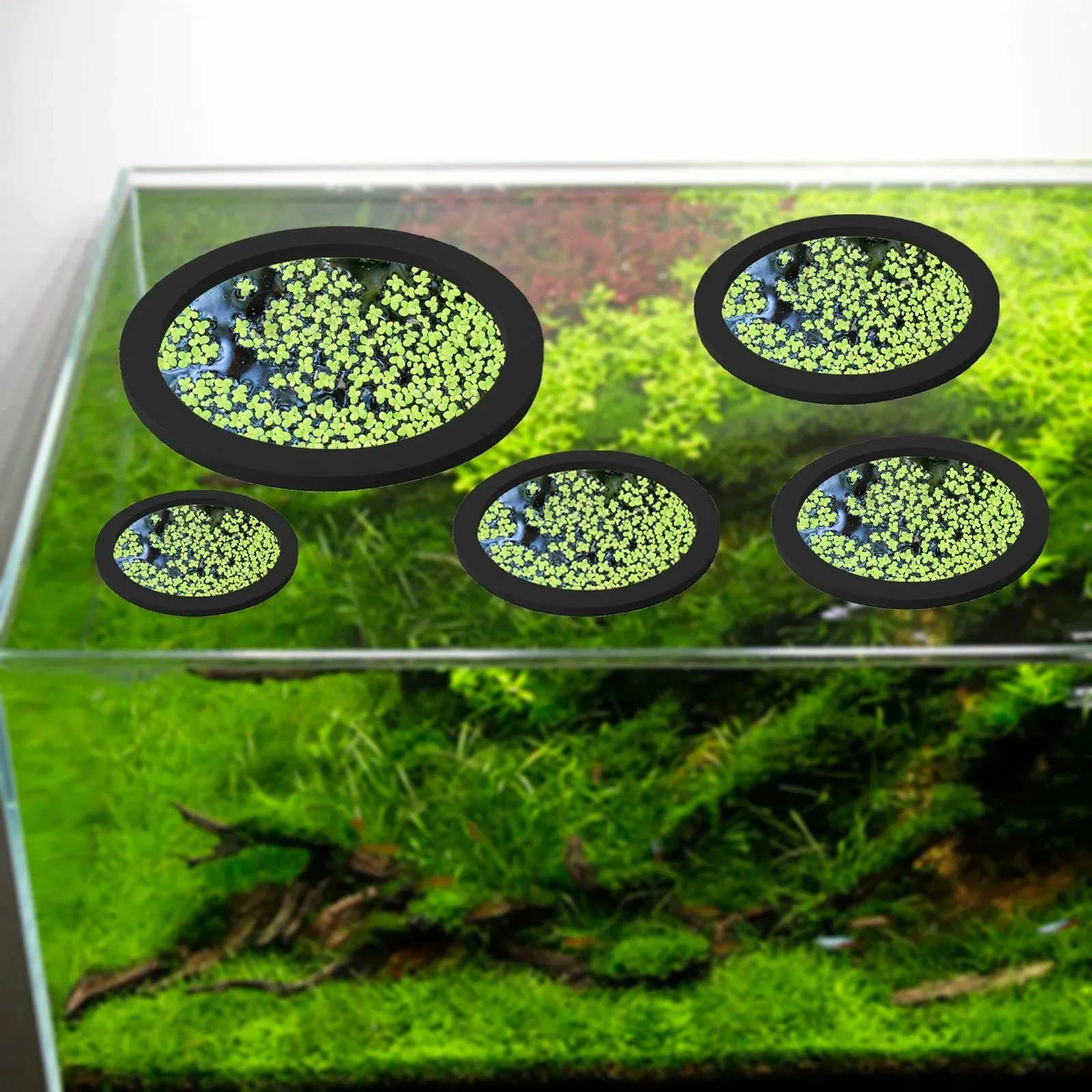 AquaMate 5Pcs EVA Fish Feeding Ring Floating Plant Corral Aquarium Pond ...