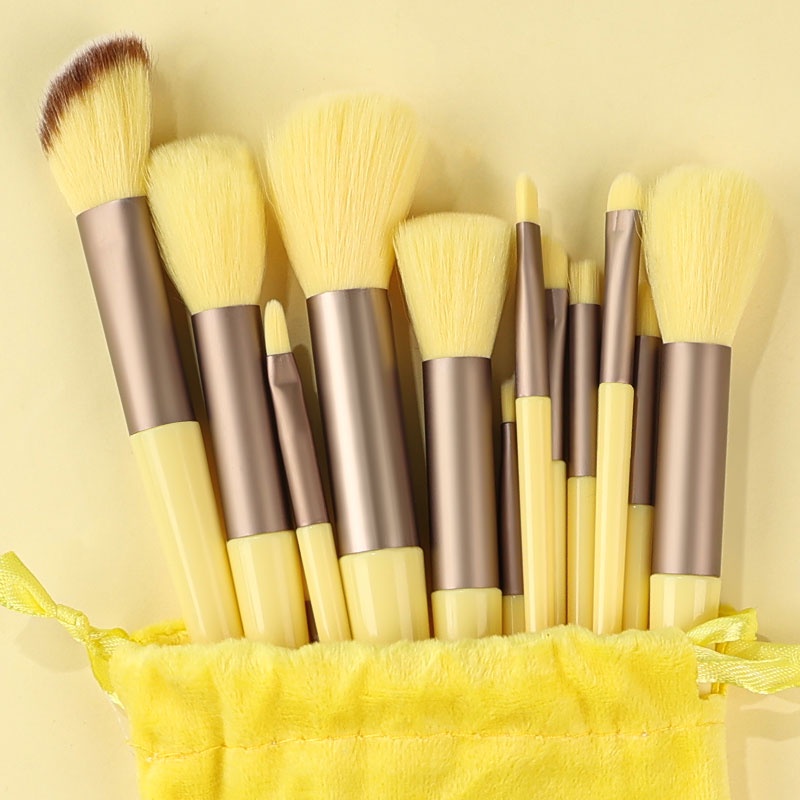 13pcs makeup brushes set with bag high quality foundation blush powder