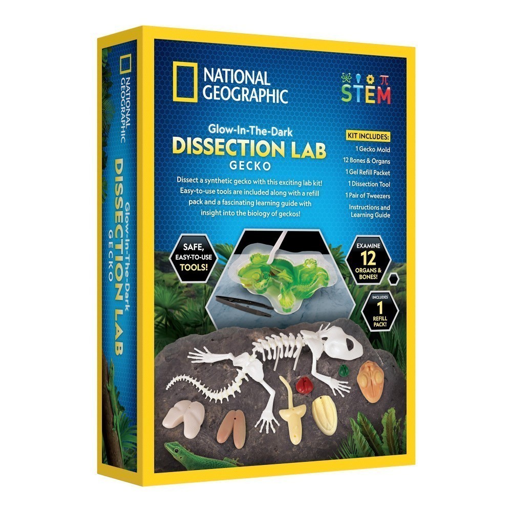 National Geographic Gecko Dissection Lab Toy Cut Luminous Simulation ...