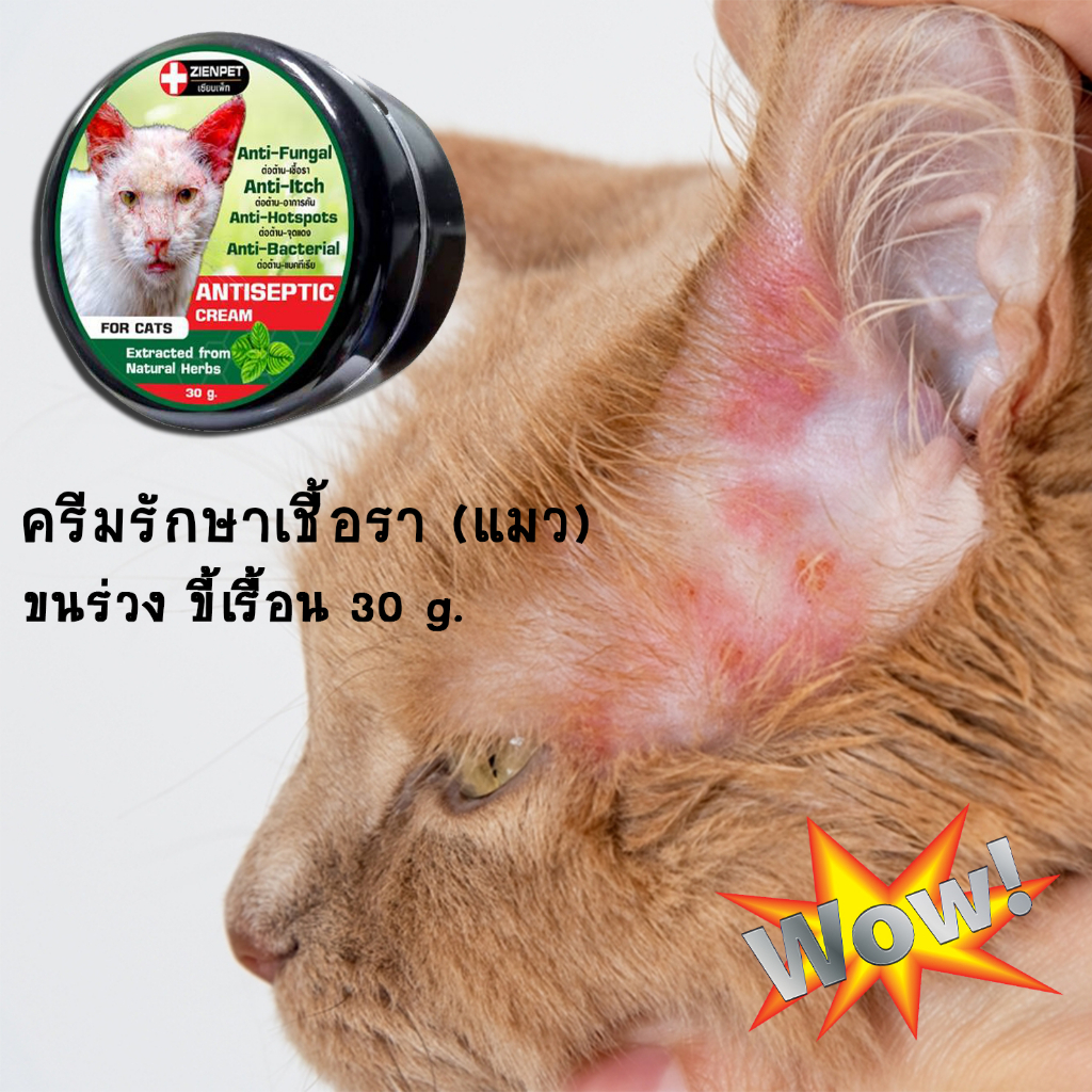 Leper Cream (Cat) Chronic Itchy Fungus Yeast Red Rash Hair Loss Flaky