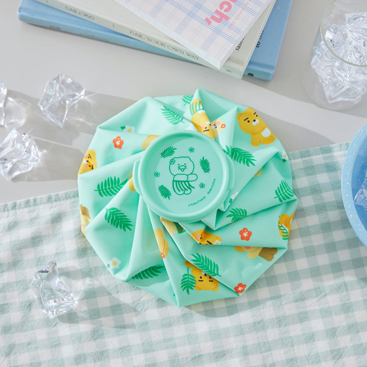 Kakaofriends Ice Bag Cold Compress Shopee Malaysia