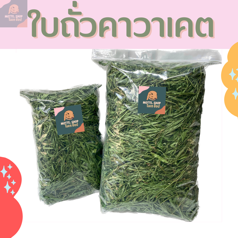Cavaket Bean Leaves Grass 200/500g Dried Premium Suitable For Rodents