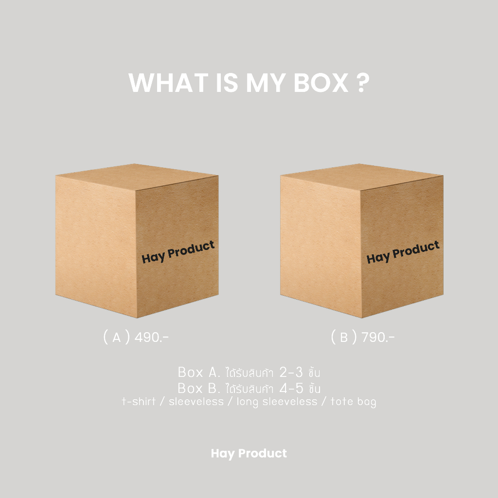 HAYWhat is my Box (Random Box) Shopee Malaysia