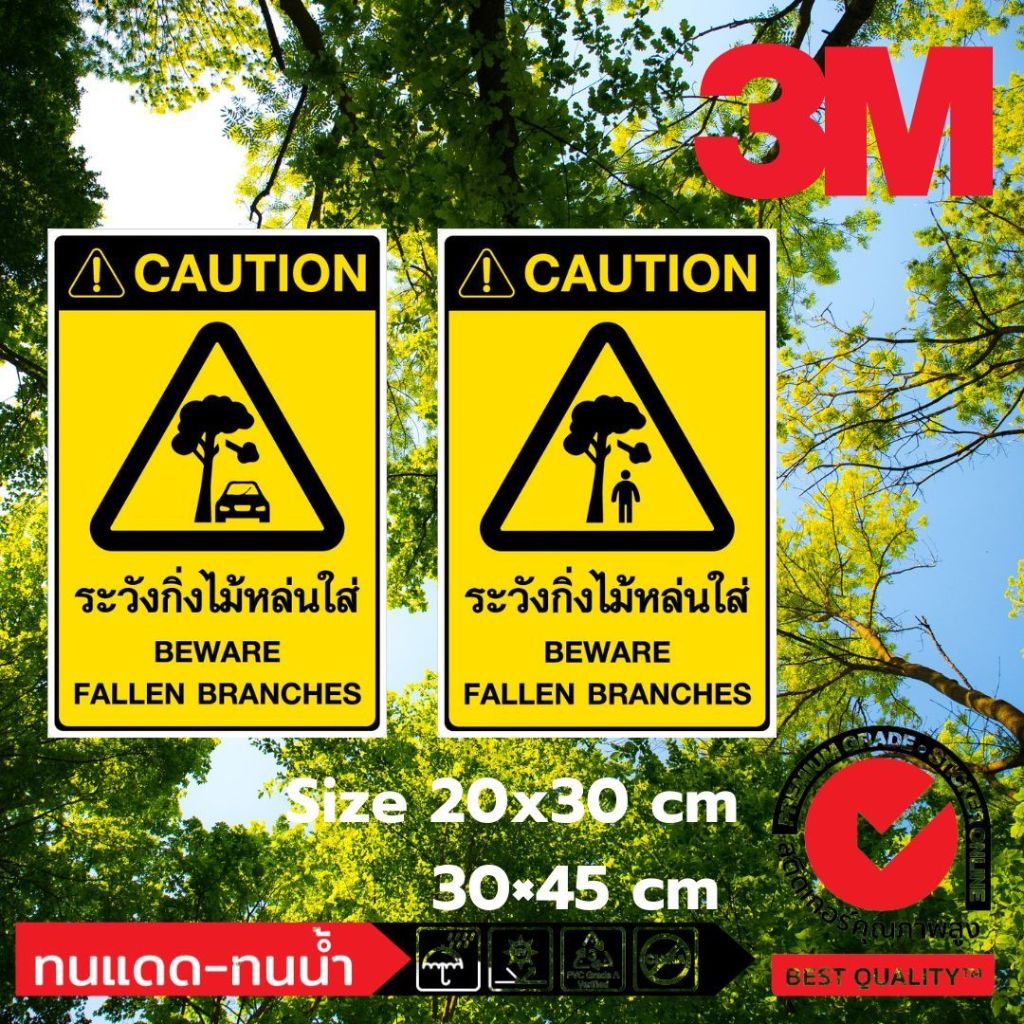 (381) Beware Of The Branches Drop Into Fallen Safety Signs Thai English ...
