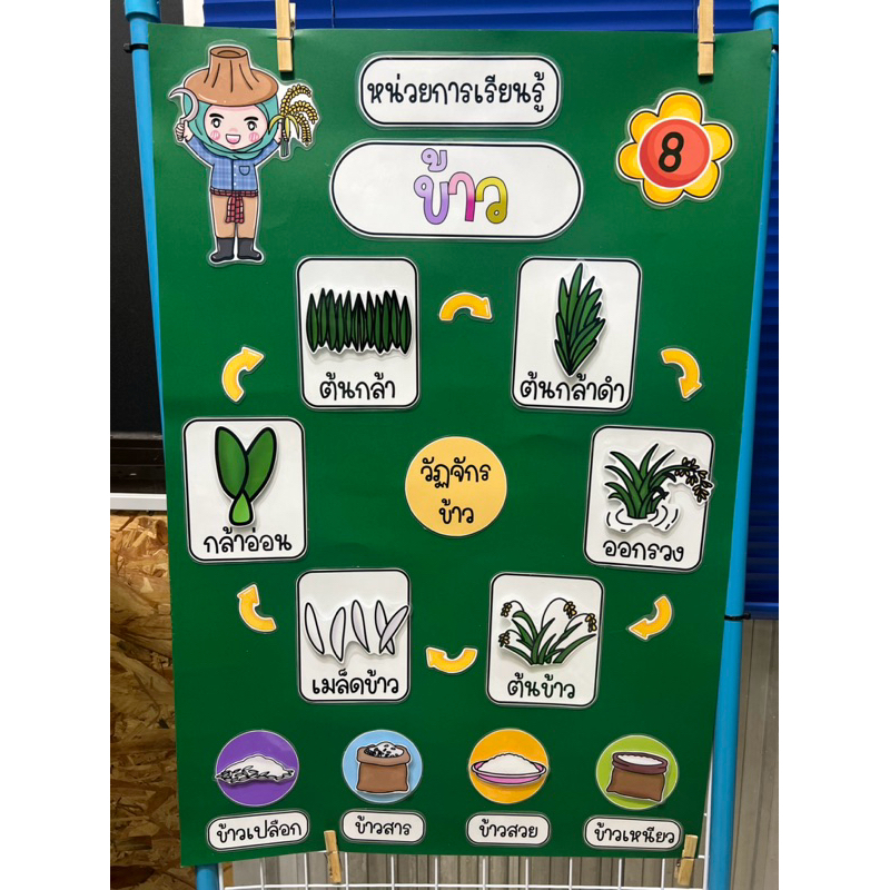 Teaching Materials Educational Games Signs Rice Stories Movements Read ...