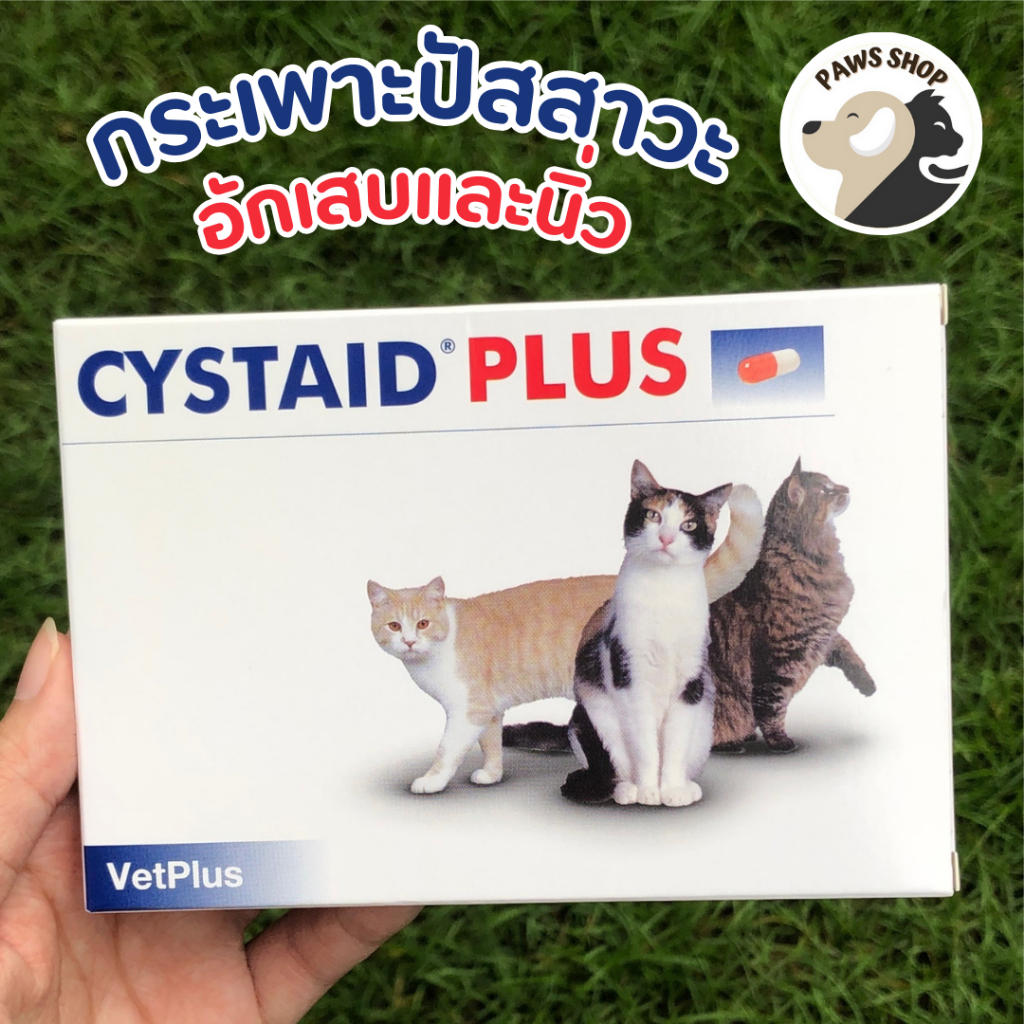 Aid Plus Protein Supplement For Extra Strength Cystitis And Gallstones