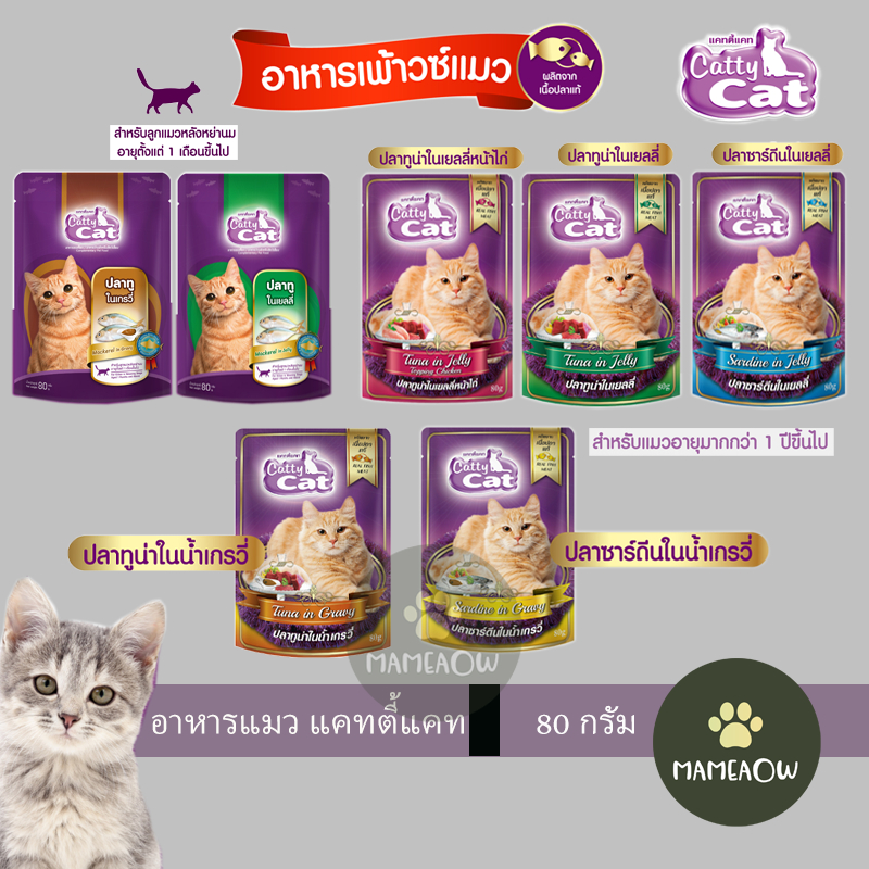 Cattycat Cat Food Pouch For Adult/Kitten 80g (Pack) | Shopee Malaysia